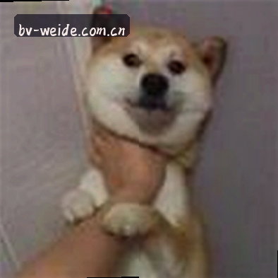 吴强
