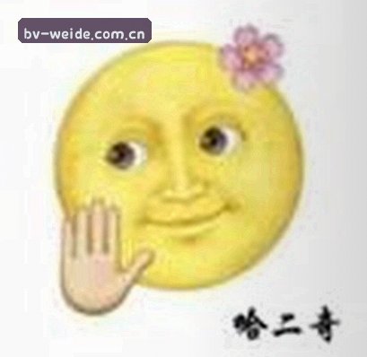 陈磊